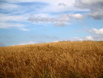 Fotoblog ladyfallenangel