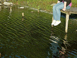 Fotoblog weronikaaa95