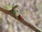 Fotoblog anonimowy78