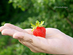 Fotoblog andzia030