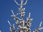 Fotoblog okciuk