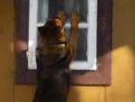 Fotoblog bzemiagrestem