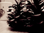 Fotoblog photoiza