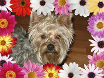 Fotoblog anetia20