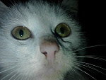 Fotoblog weglera05