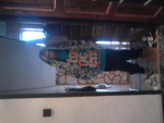 Fotoblog lol54345