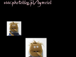 Fotoblog obczaajtoxd