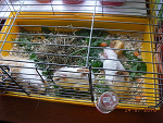 Fotoblog atena07