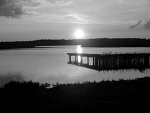 Fotoblog szkodalez