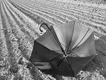 Fotoblog flaws