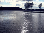 Fotoblog czasxniexleczyxran