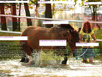 Fotoblog po12341234