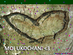 Fotoblog xmarcelinkaaax