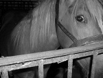 Fotoblog wentkub