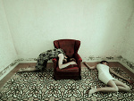 Fotoblog jullq