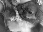 Fotoblog creeezy