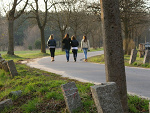 Fotoblog letmeshowmypossion