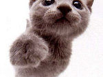 Fotoblog cute96xd