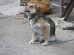 Fotoblog luki11