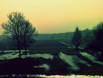 Fotoblog blueday