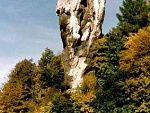 Fotoblog maczugakacpra