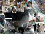 Fotoblog siostrzyczka3245xd