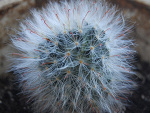 Fotoblog aaciaaa