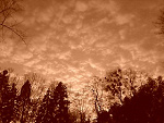 Fotoblog pattyy95