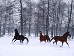Fotoblog kaja123491