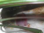 Fotoblog koncowa
