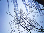 Fotoblog rozowamalina
