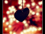 Fotoblog ineedyouxiloveyoux