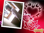 Fotoblog marlena0888
