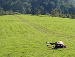 Fotoblog kilogramykoloru