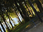 Fotoblog backtolove