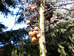 Fotoblog marciiinxd