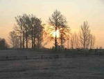 Fotoblog wwo04