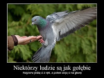 Fotoblog buahaha123