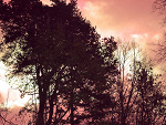 Fotoblog staywithme100