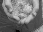 Fotoblog fottowika