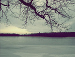 Fotoblog toniemasensu