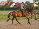 Fotoblog podhajsky