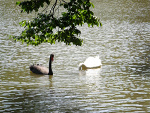 Fotoblog truskawenka
