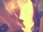 Fotoblog annerothh