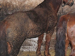 Fotoblog smiatankaaaa