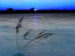 Fotoblog phileasfogg