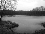 Fotoblog krzekmafiaboosekkrz