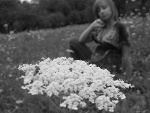Fotoblog endlessskies