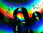 Fotoblog rainbow97