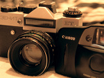 Fotoblog gloomybearxd